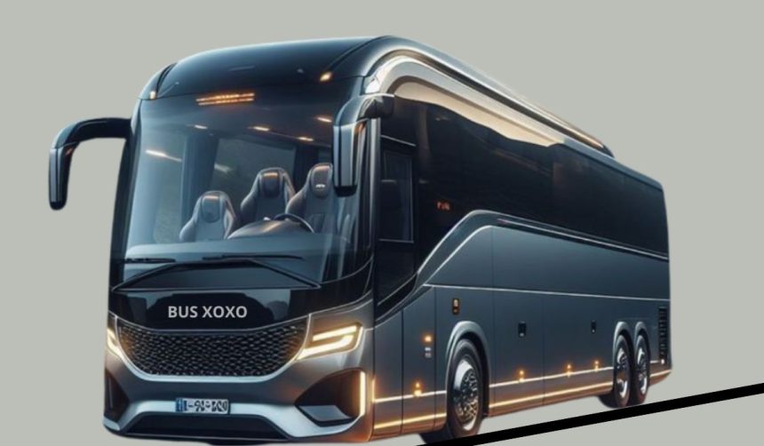 busxoxo