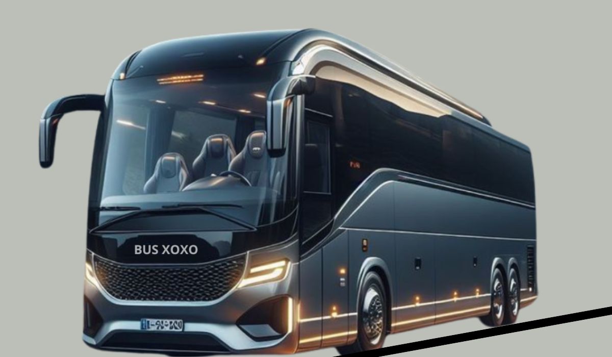 busxoxo